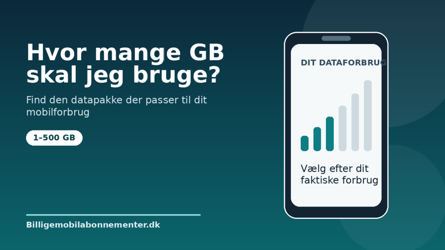 Hvor mange GB skal jeg bruge